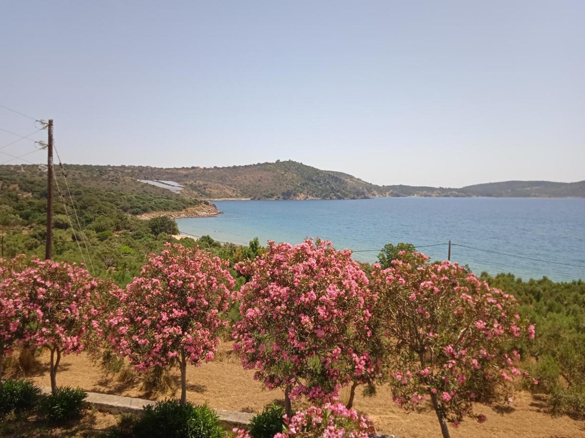 Skoutari Beach Hotel Kültér fotó