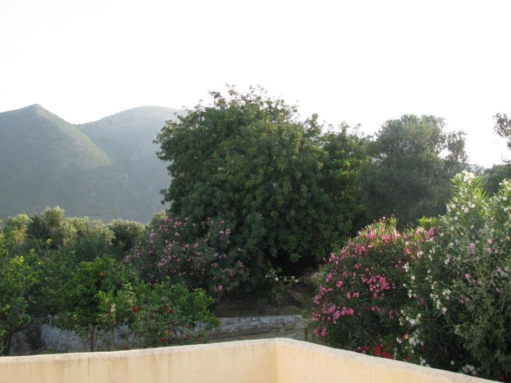 Skoutari Beach Hotel Szoba fotó