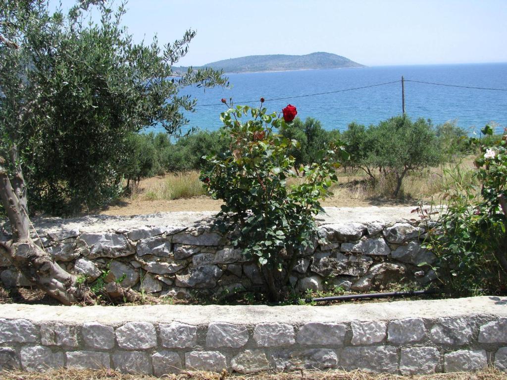 Skoutari Beach Hotel Kültér fotó