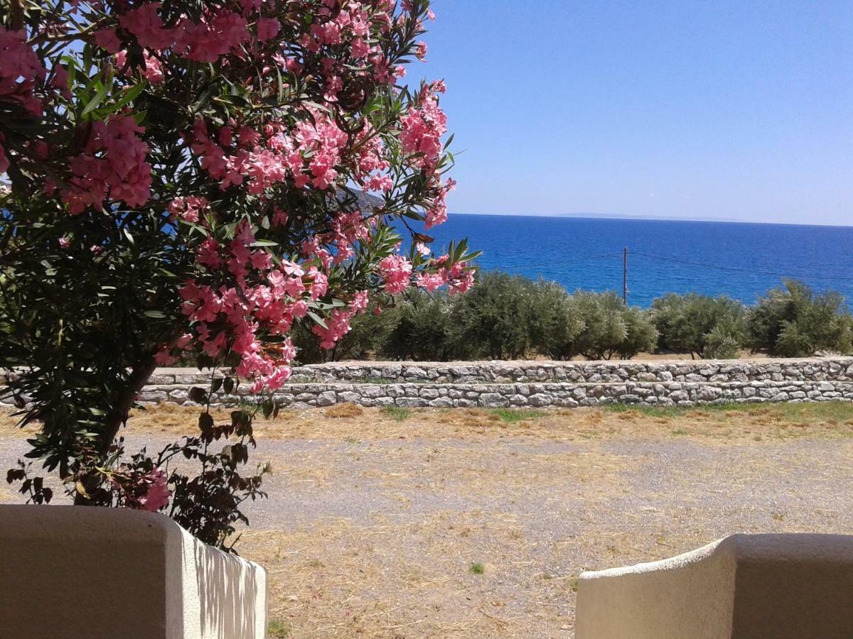 Skoutari Beach Hotel Kültér fotó